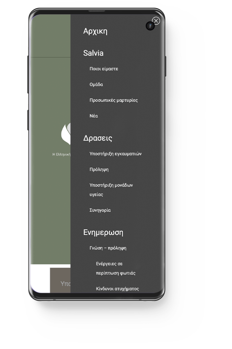 Salvia - Κατασκευή Ιστοσελίδας 7 Κατασκευή Δυναμικής Ιστοσελίδας salvia.org.gr